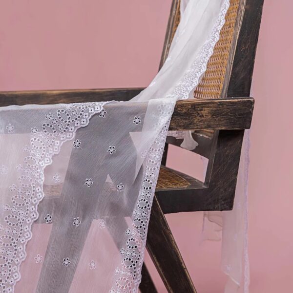 Embroidered Chiffon Dupatta