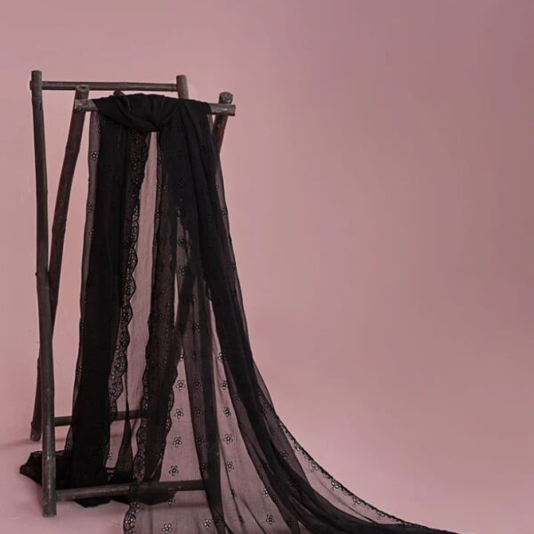 Embroidered Chiffon Dupatta