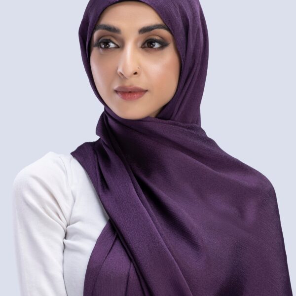 Chiffon Scarf/Stoler